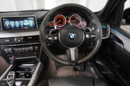 2017 BMW X5 sDrive25d full