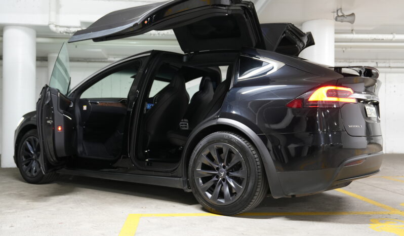 2017 Tesla Model X 100D full