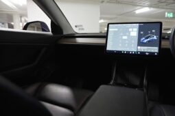2020 Tesla Model 3 Standard Range Plus full