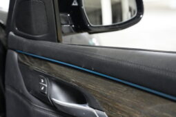 2018 BMW X6 xDrive30d full