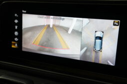 2019 Mercedes-Benz GLE-Class V167 GLE300 d full