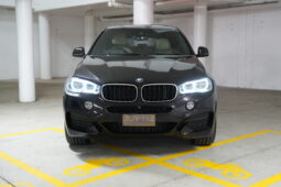 2016 BMW X6 xDrive30d full