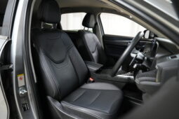 2024 GWM Haval Jolion Lux full