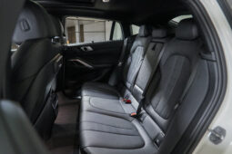 2020 BMW X6 xDrive30d M Sport full