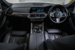 2020 BMW X6 xDrive30d M Sport full