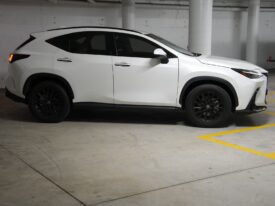 2023 LEXUS NX250 2WD AAZA20R